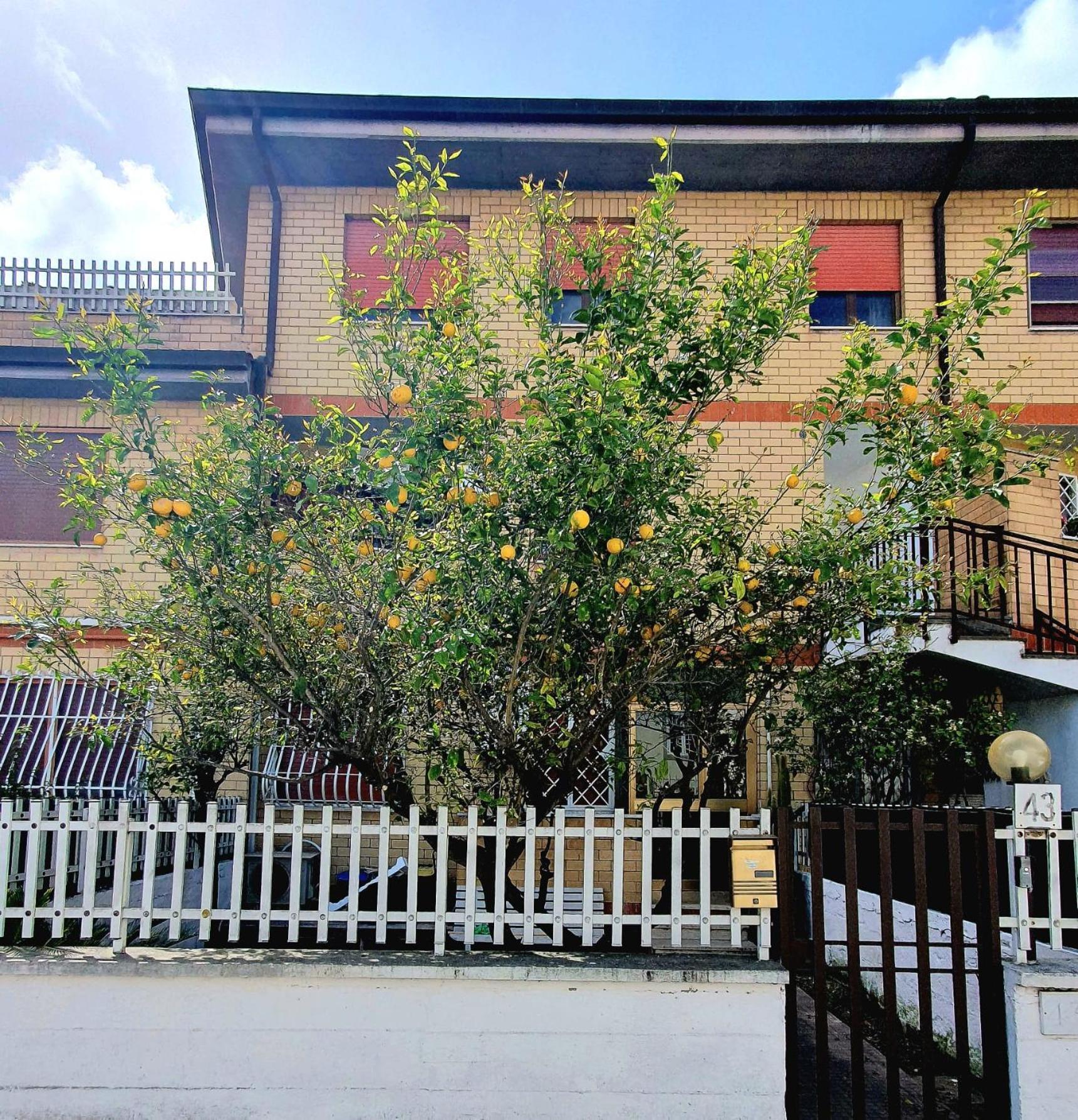 Apartamento Lemon Tree House Ostia Antica Exterior foto